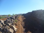 In der Ferne der Teide