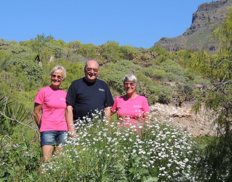 Die Teneriffa Wanderer